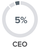 piechart_ceoxbasesalary2.jpg